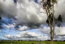 HTH Sports-快船式防守锁死广厦，小贾伦·杰克逊化身关键先生定乾坤