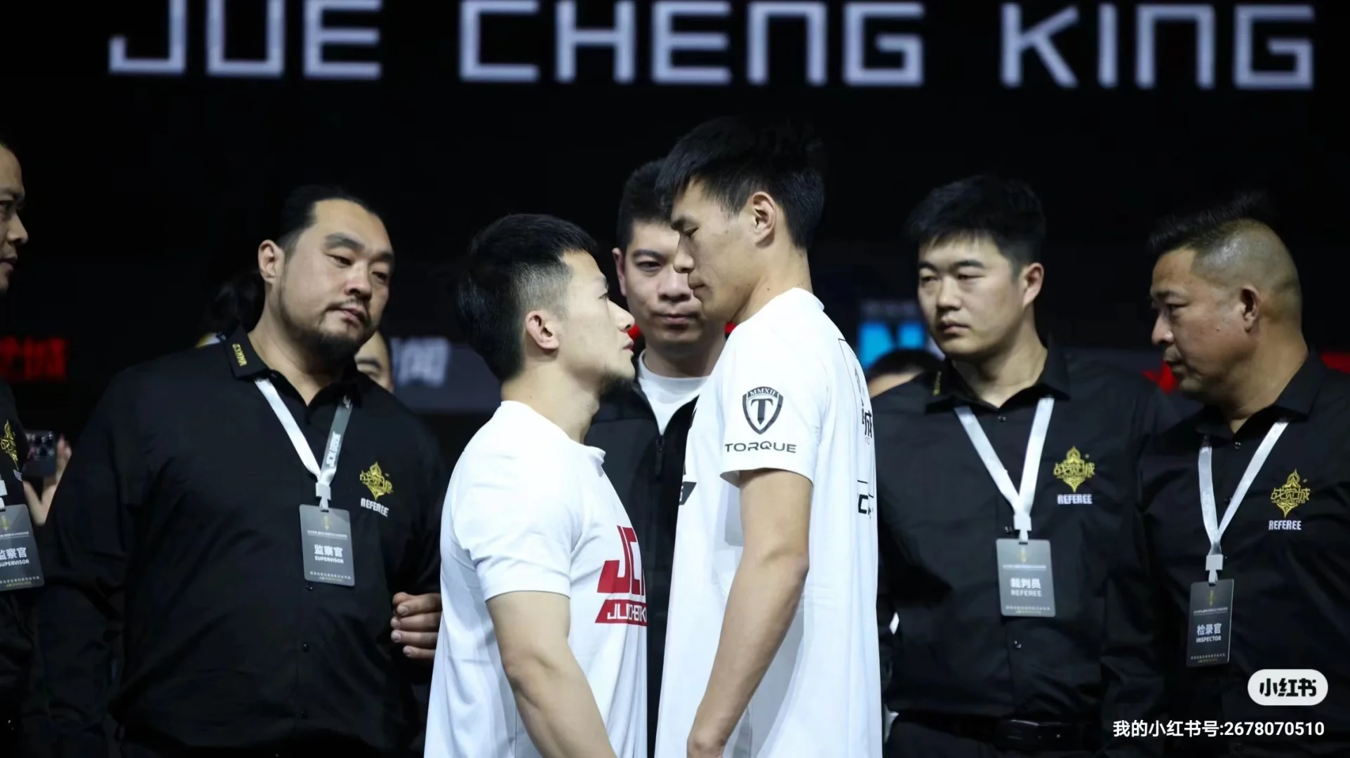 雷恩队在场上积极拼搏，力争每一场比赛的简单介绍